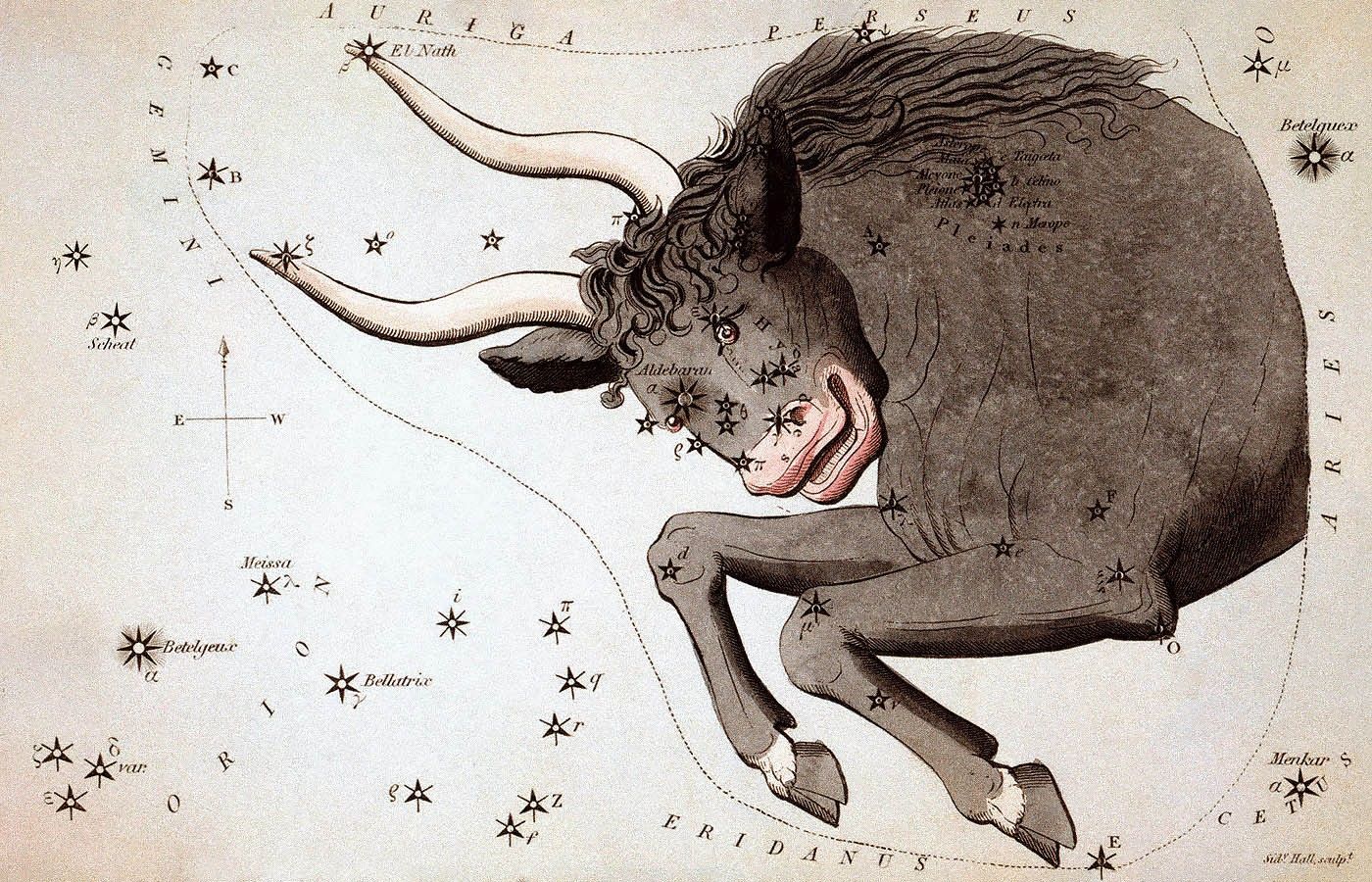 Созвездие Тельца. Иллюстрация Сидни Холла, 1825 / Wikipedia / Bookmate Journal