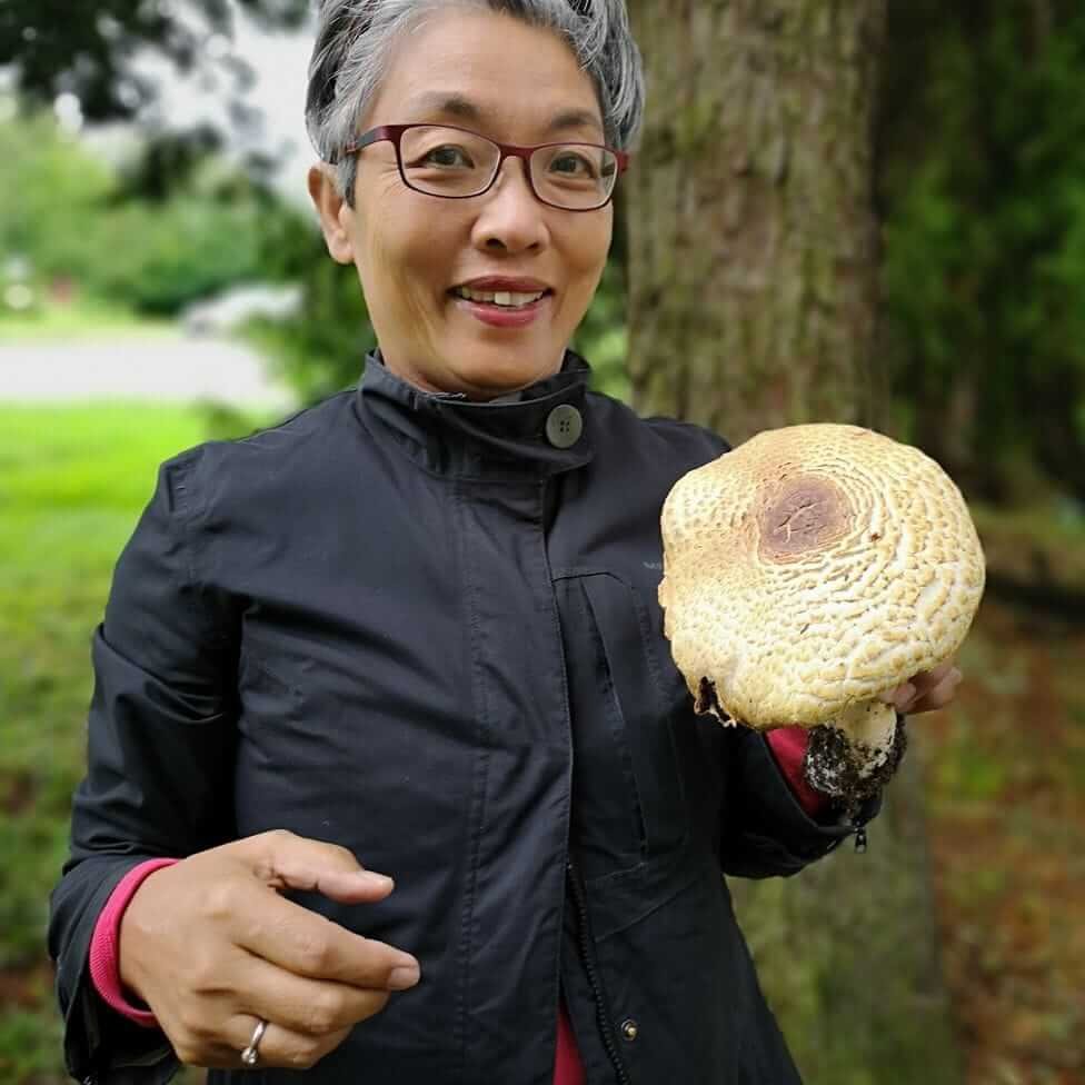 Lang Litt Woon med en prægtig champignon (Agaricus augustus). Kilde: bbc.com