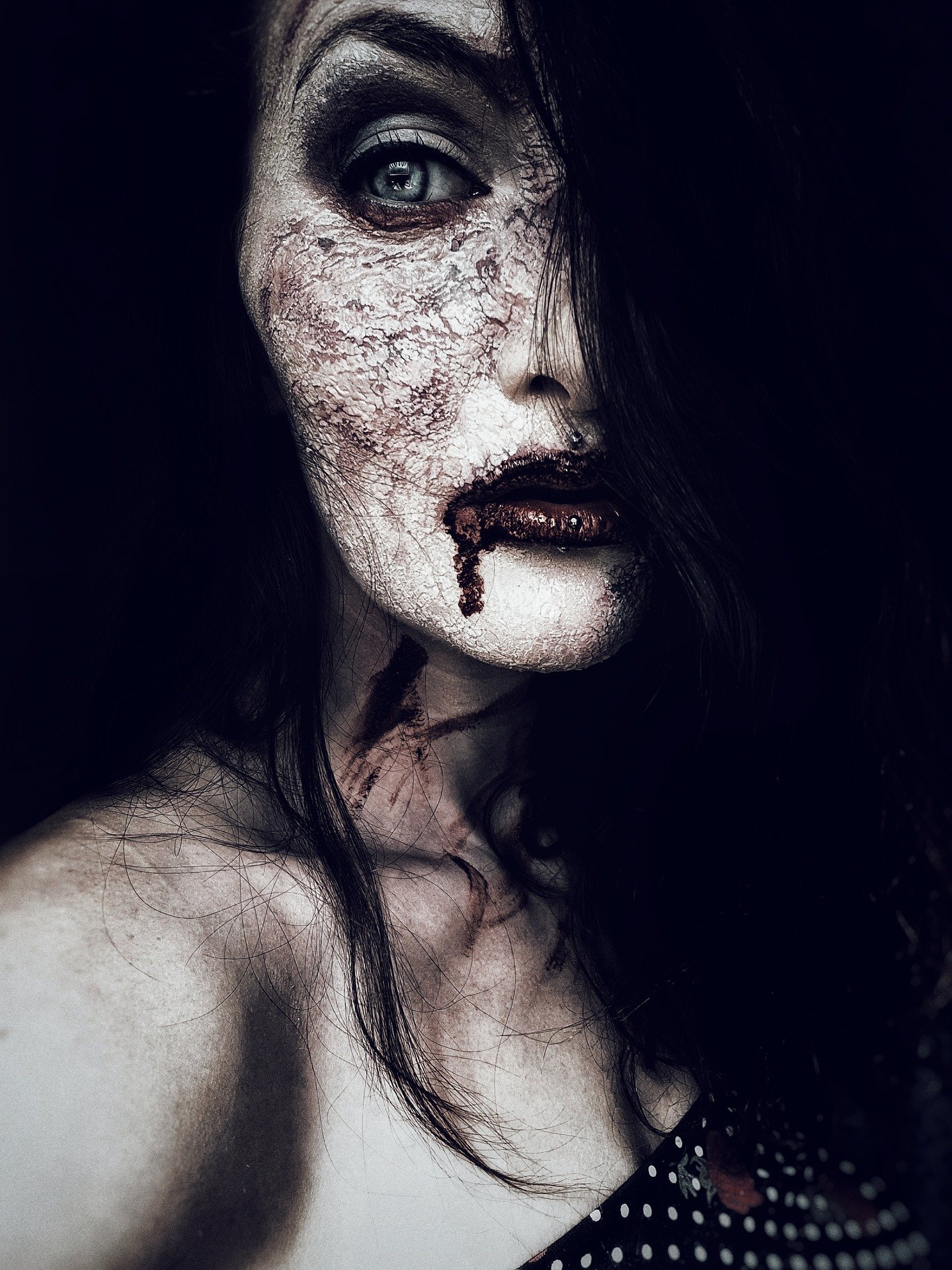 Vampirica / Izvor: Pixabay