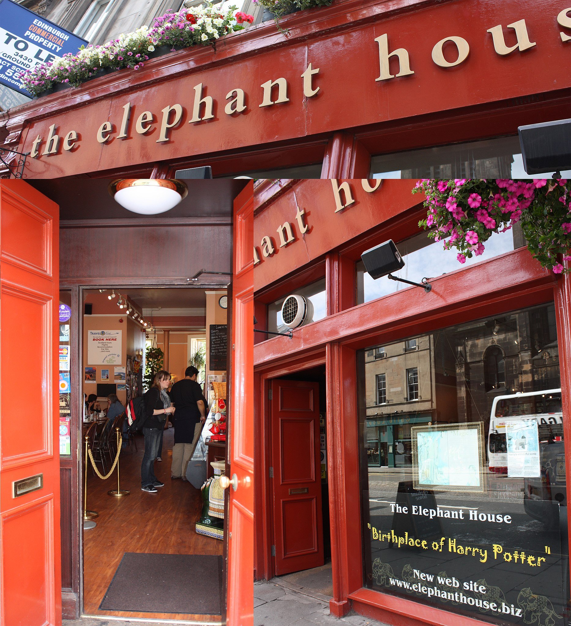 The Elephant House, Edinburgh / foto: Alis Marić