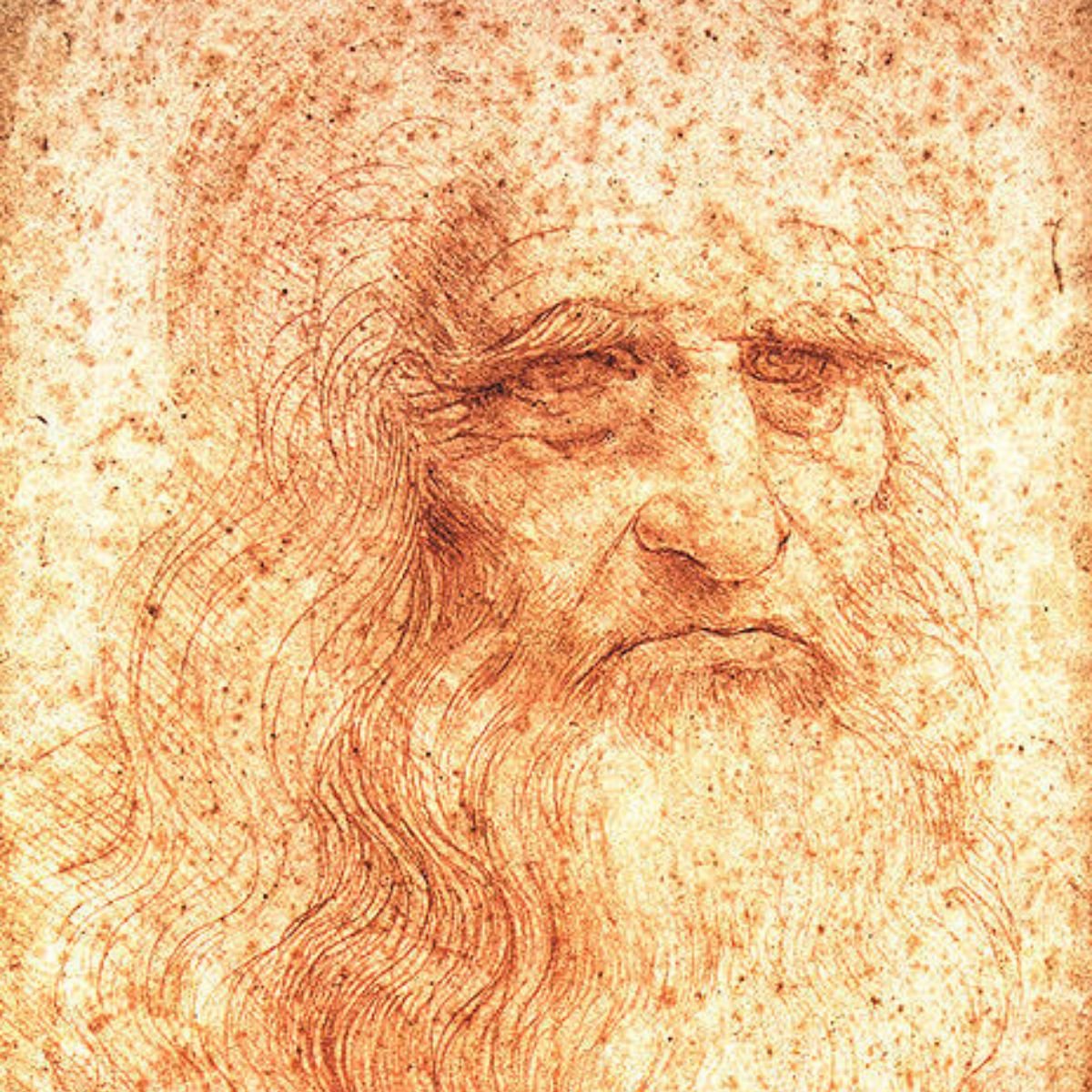 Ovaj autoportret je naslikan 1512. godine crvenom kredom, kada je Leonardo da Vinči imao 50 godina i živeo u Francuskoj. Originalna slika ima dimenzije 33,3 k 21,3 cm. Sada se čuva u veličanstvenoj kolekciji Biblioteca Reale u Torinu / izvor: leonardodavinci.net