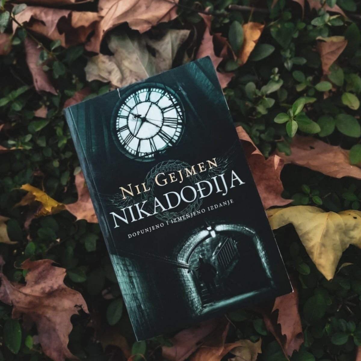 Naslovna strana romana Nikadođija, autor Nil Gejmen / foto: Deana Malek