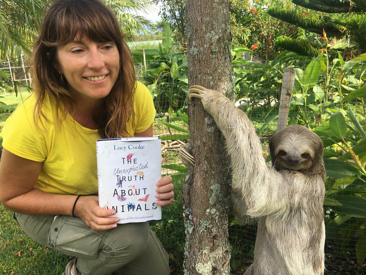 Люси Кук вместе с ленивцем и своей книгой. Фото: twitter.com/mslucycooke