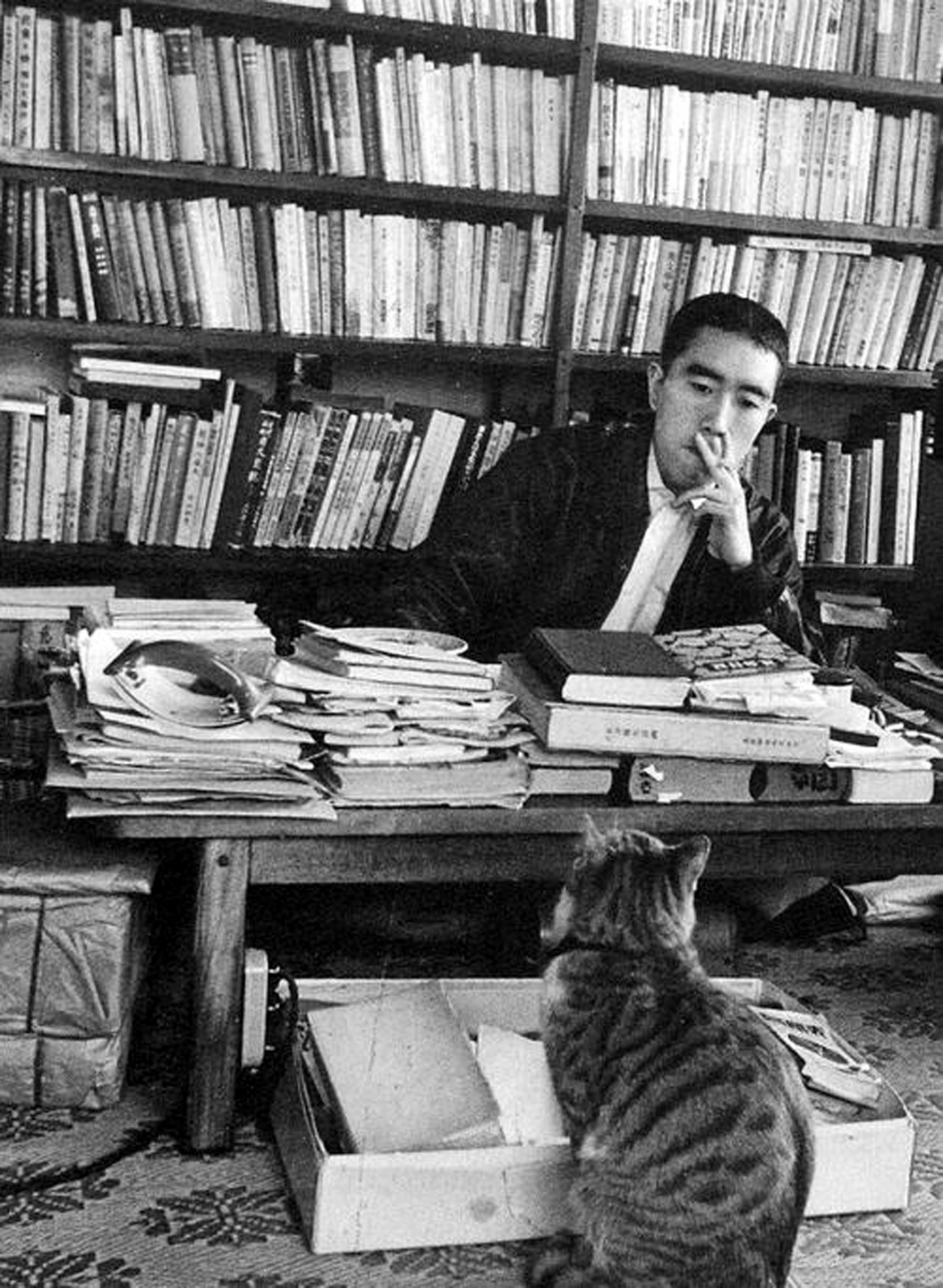 Юкио Мисима с котом в своем кабинете. Фото: pinterest.jp