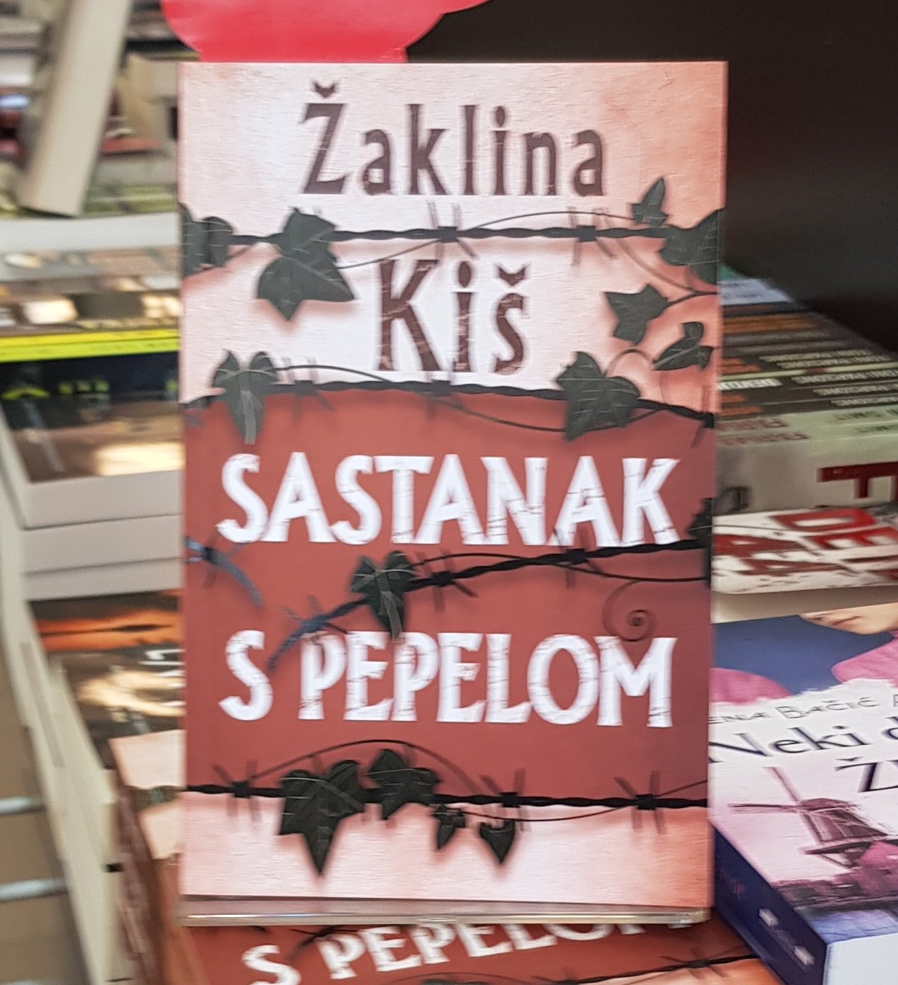 Naslovna strana romana Sastanak s pepelom / foto: Ksenija Prodanović