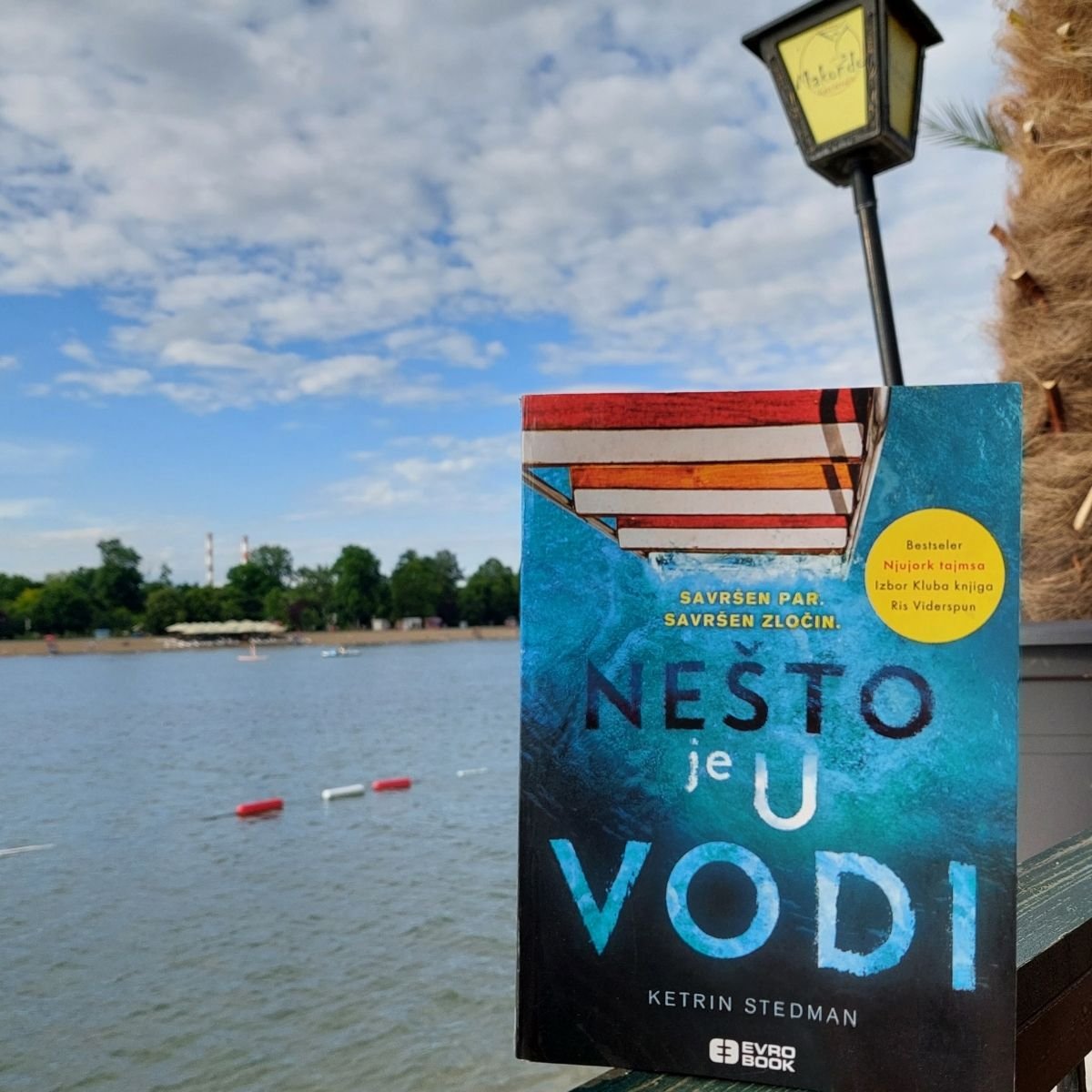 Naslovna korica knjige Nešto je u vodi / autorka: Adrijana Jevtić