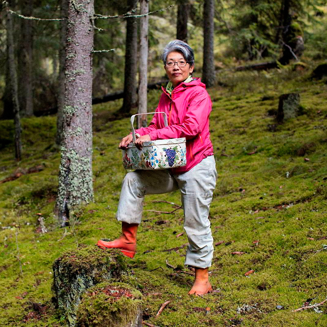 Лонг Литт Вун в лесу в Эстмарке, в окрестностях Осло. Фото: Øystein Klock. Источник: dn.no/smak